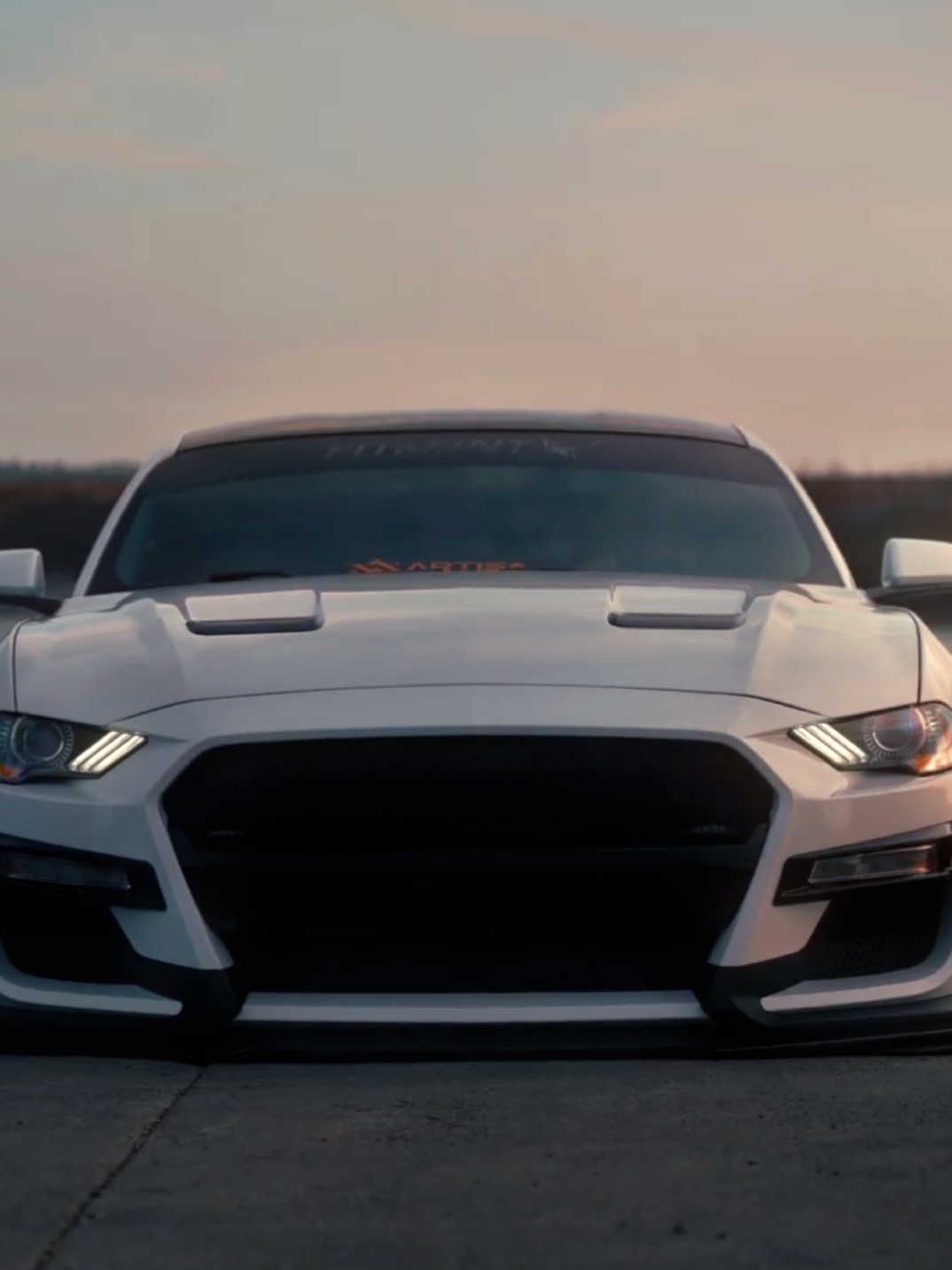 Mustang Gt 500