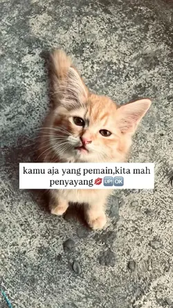 kamu aja yang pemain