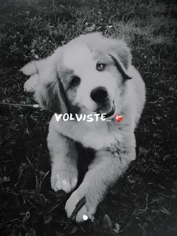 Volviste ❤️‍🩹