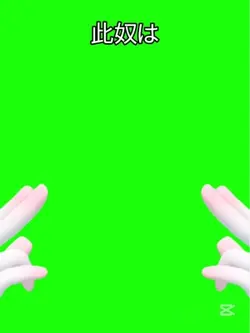 みむかゥわナイストライ　手素材　ゼペット