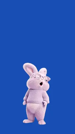 Rabbit/Coelho.
