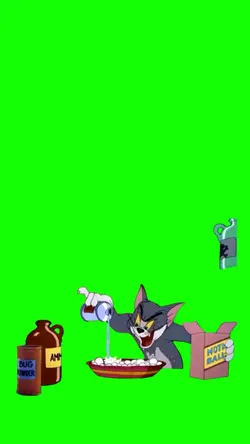 Gato Tom