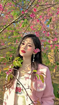 aesthetic hd
