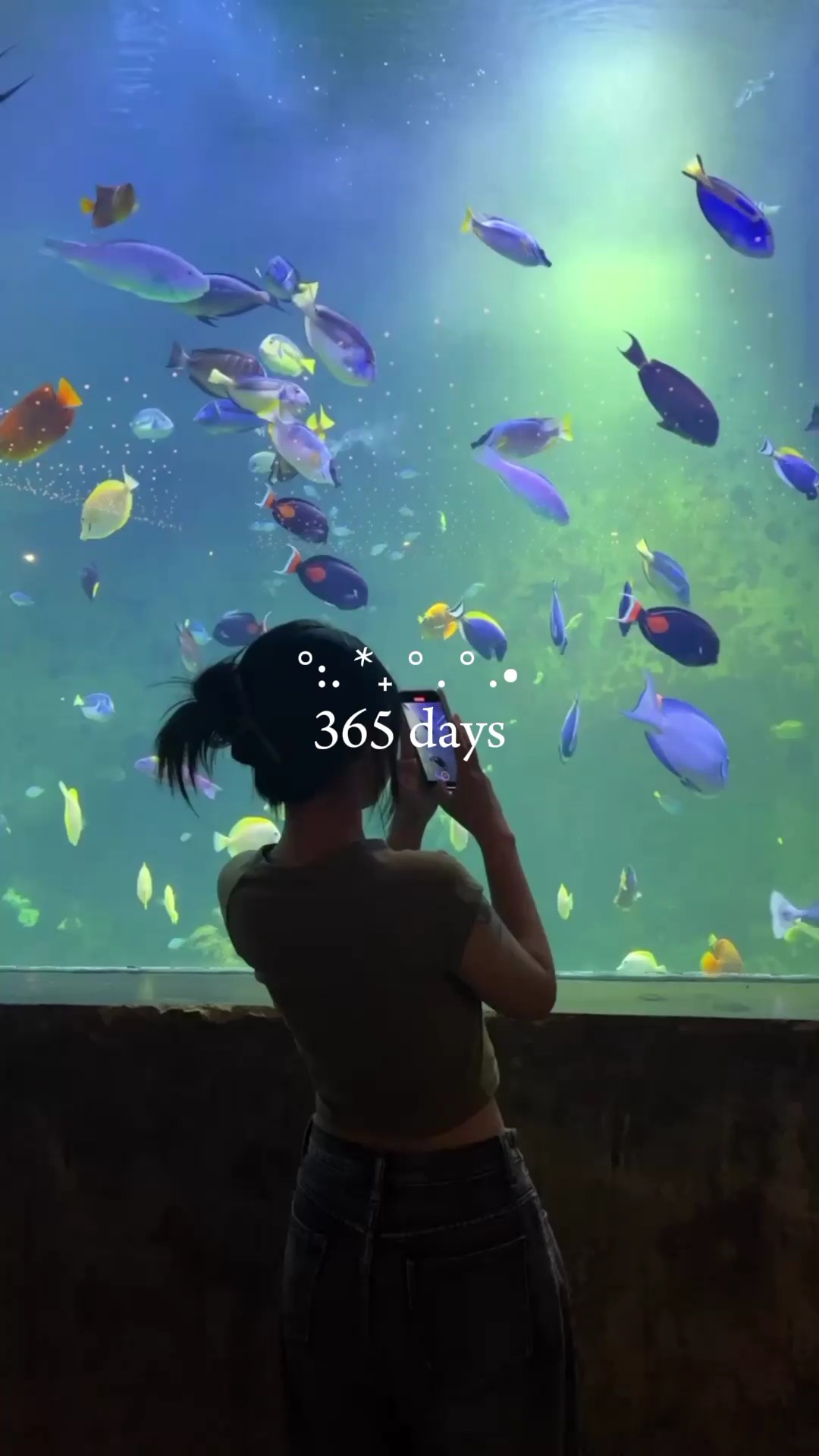 356 jours