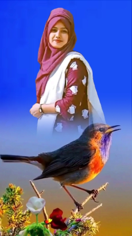 পাখিরে তুই বড় বেই