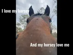 I love my horsey