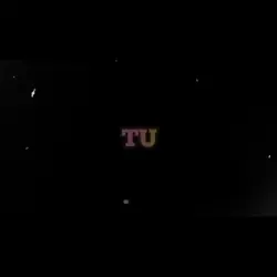 Toi toi