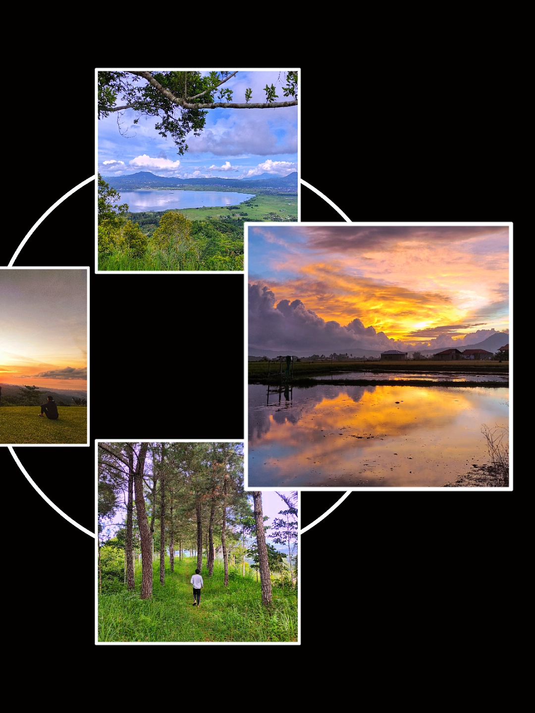 Aesthetic Frame/Grid