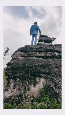 Reflexão e Evolução