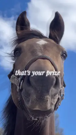 That’s my life 🫶🏻