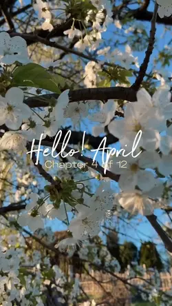 Hello April Chapter4