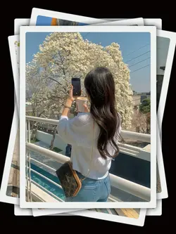 12PicClip Transition