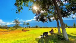 slowmotion aesthetic