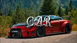 CAR 4CLIPS
