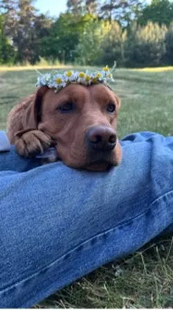 i love them both 🔐💞