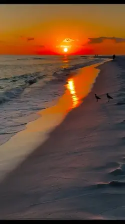 Sunset Walk