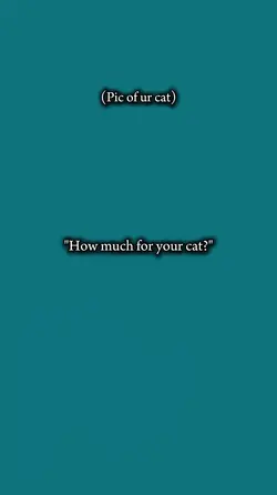 how much for ur cat