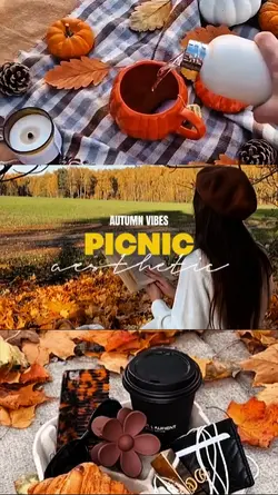 PICNIC 