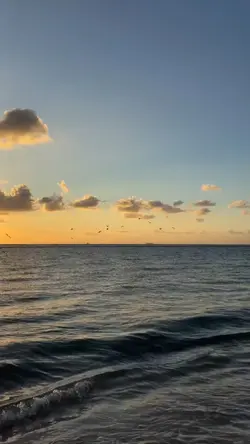 sunset aesthetic