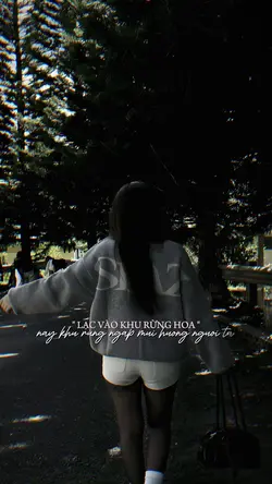  2 ảnh nhẹ nhàng 