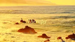 therapy