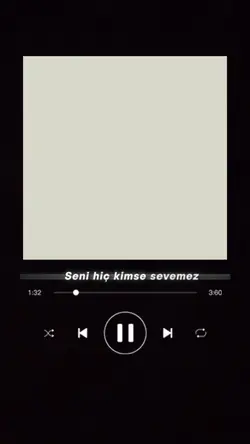 Seni Kimse Sevemez