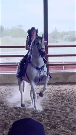 horse