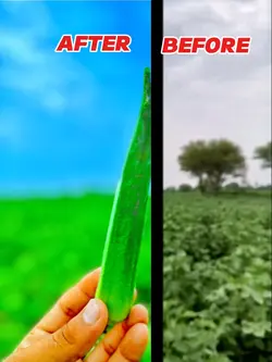 BEFORE AND AFTER