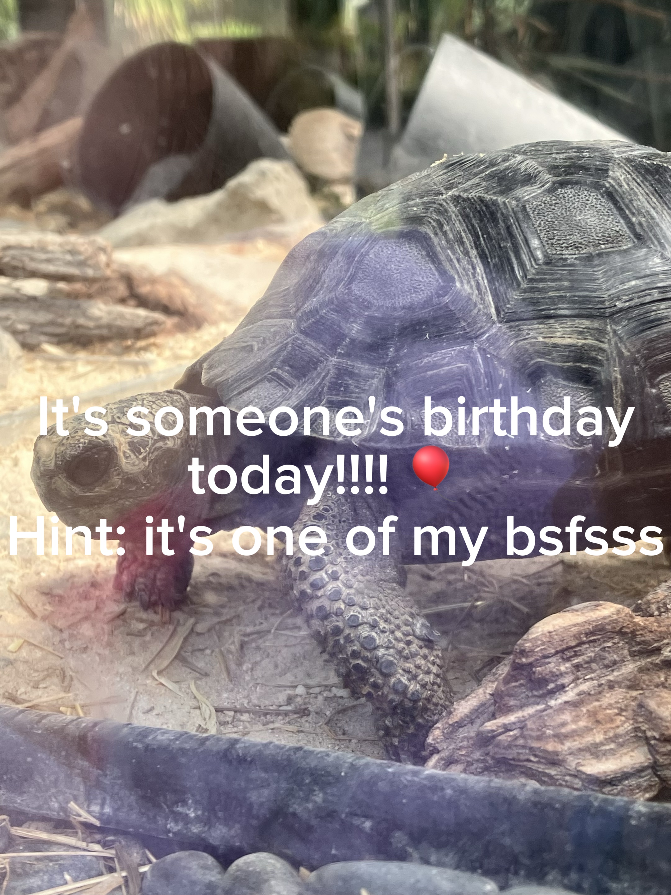 Happy Birthday! 🥳🎉🎂🎁