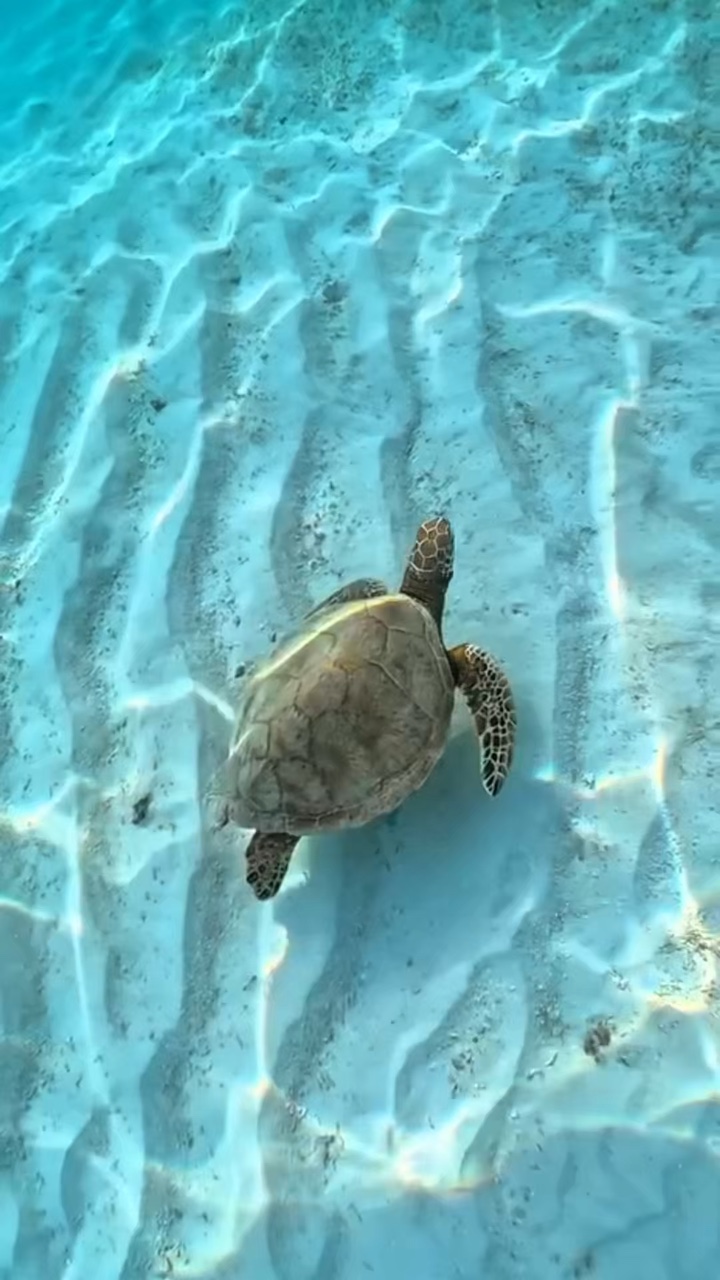 8 clips beach story 