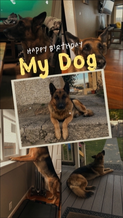 birthday my dog 