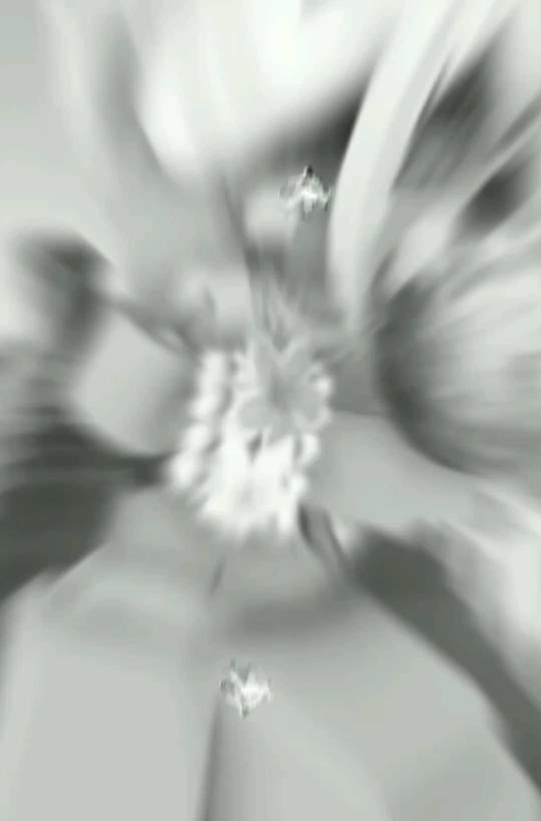 gyaru queen's comp<3