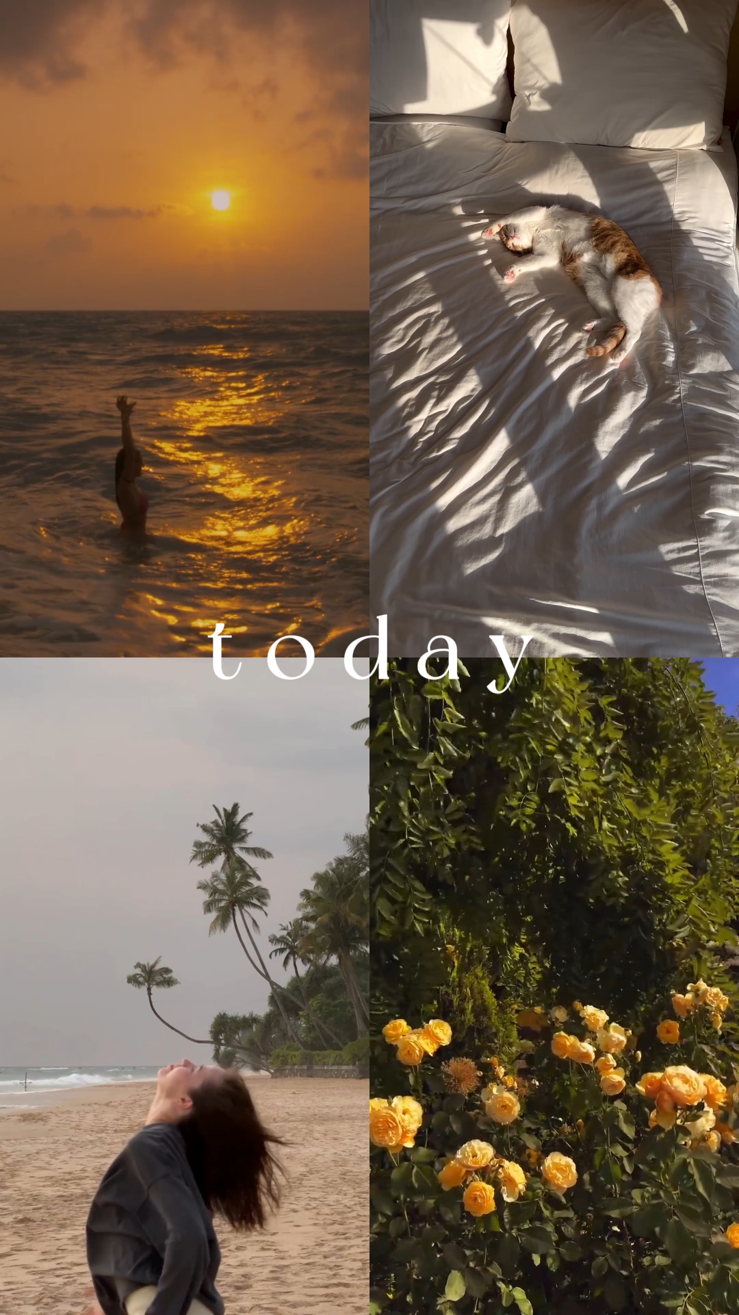 today collage