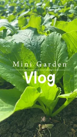 Gargen Vlog 🌱