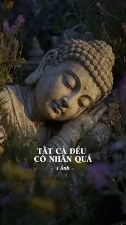 Tất cả