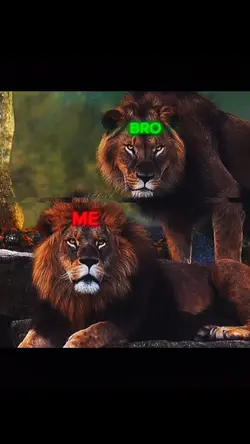 Me bro