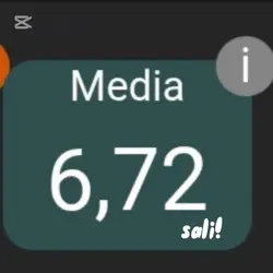 saliii