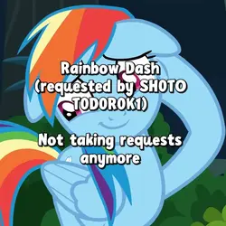 RAINBOW DASH RQST