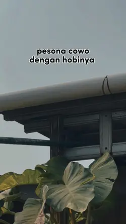 PESONA COWO DENGAN