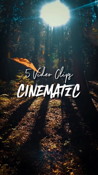 5 Video Clips 