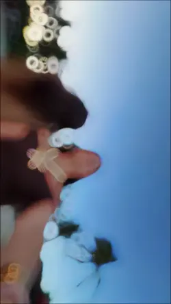 Yeni şablon 