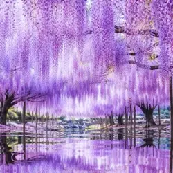 なんか綺麗じゃないですか⁉︎