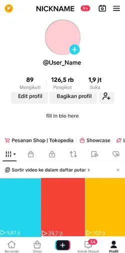 Fake Akun tik tok 