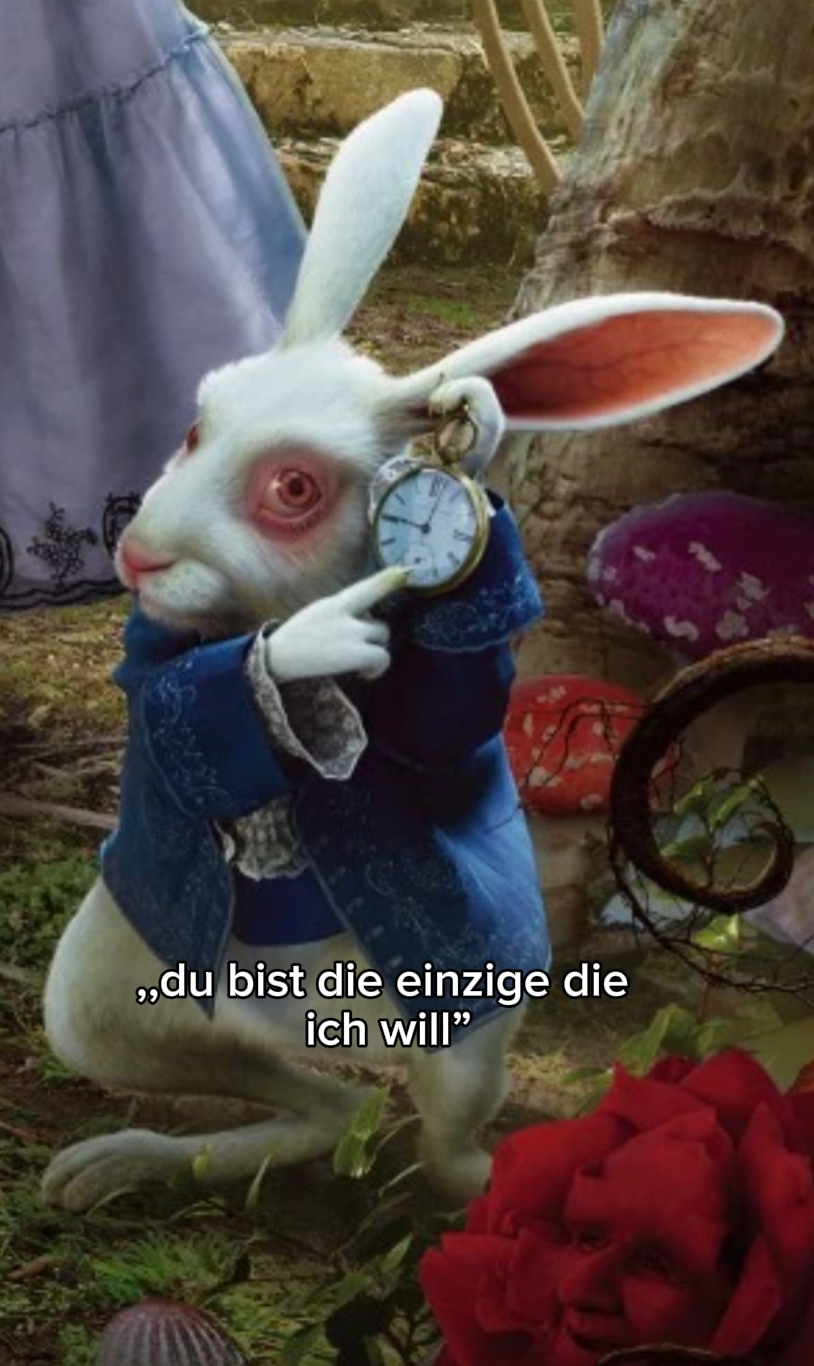 lapin blanc