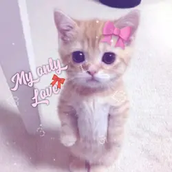 My only love