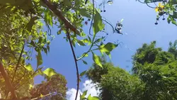 16:9