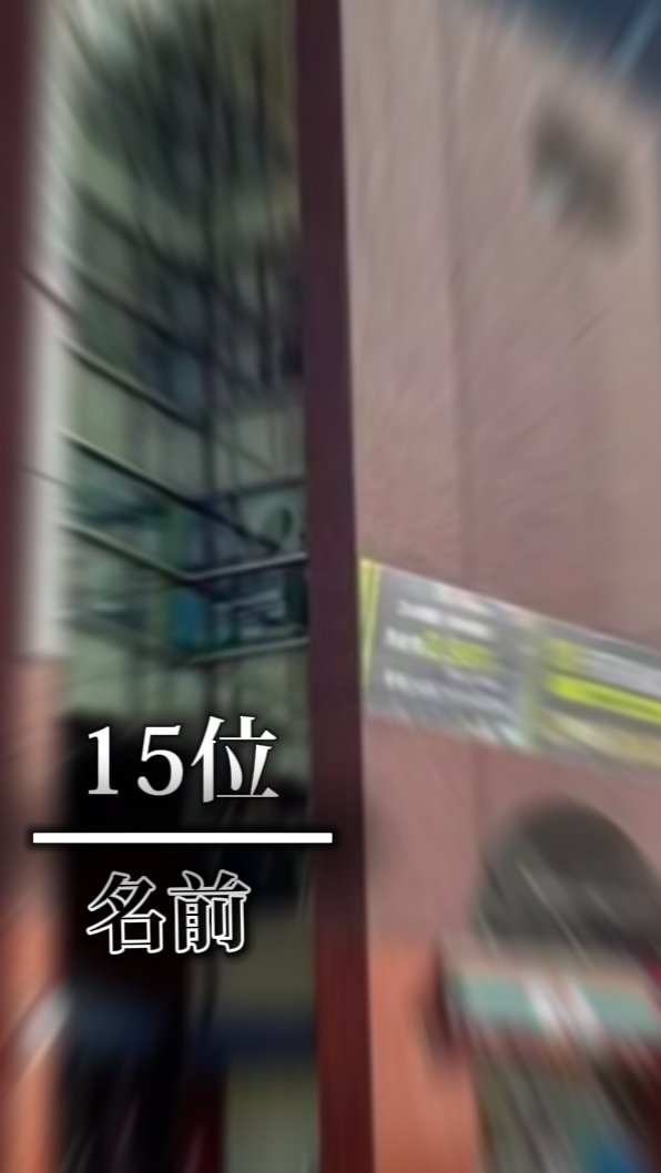 ランキング　TOP15