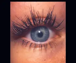 eyeyyyessss 💙🩵