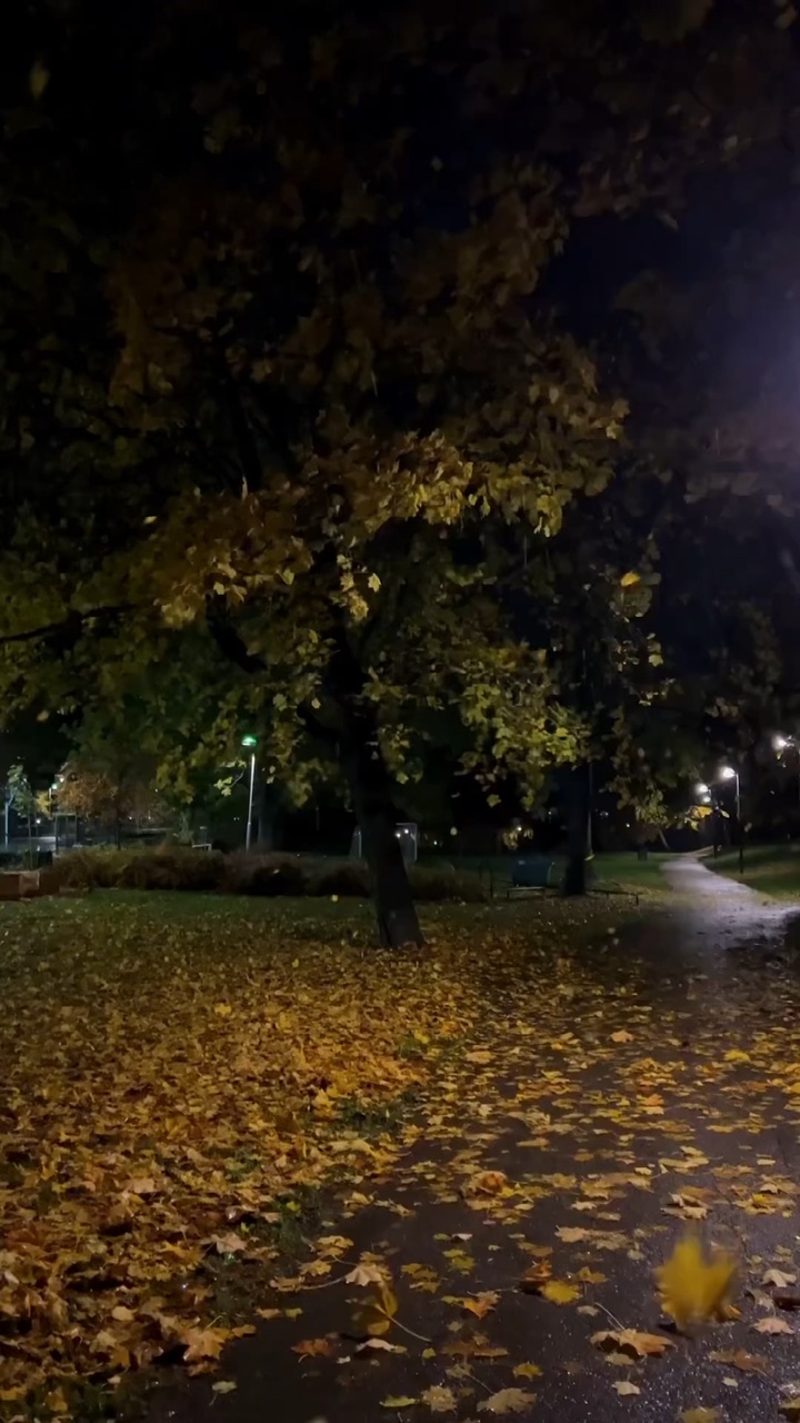 Vibing alone ❤️‍🩹💀