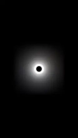 กวางขาวอยู่กลางเขา